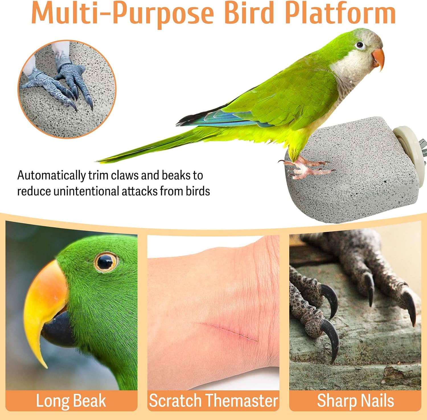 PINVNBY 4 PCS Bird Perch Stands Parrot Calcium Perch Beak Grinding Stone Foot Claws Trimmer Parakeet Platform Parrot Chewing Toys for Small Medium Cockatiel Conure Lovebird Finch - Happypetzone.online - Image 5