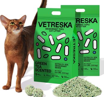 cat litter for odor removal