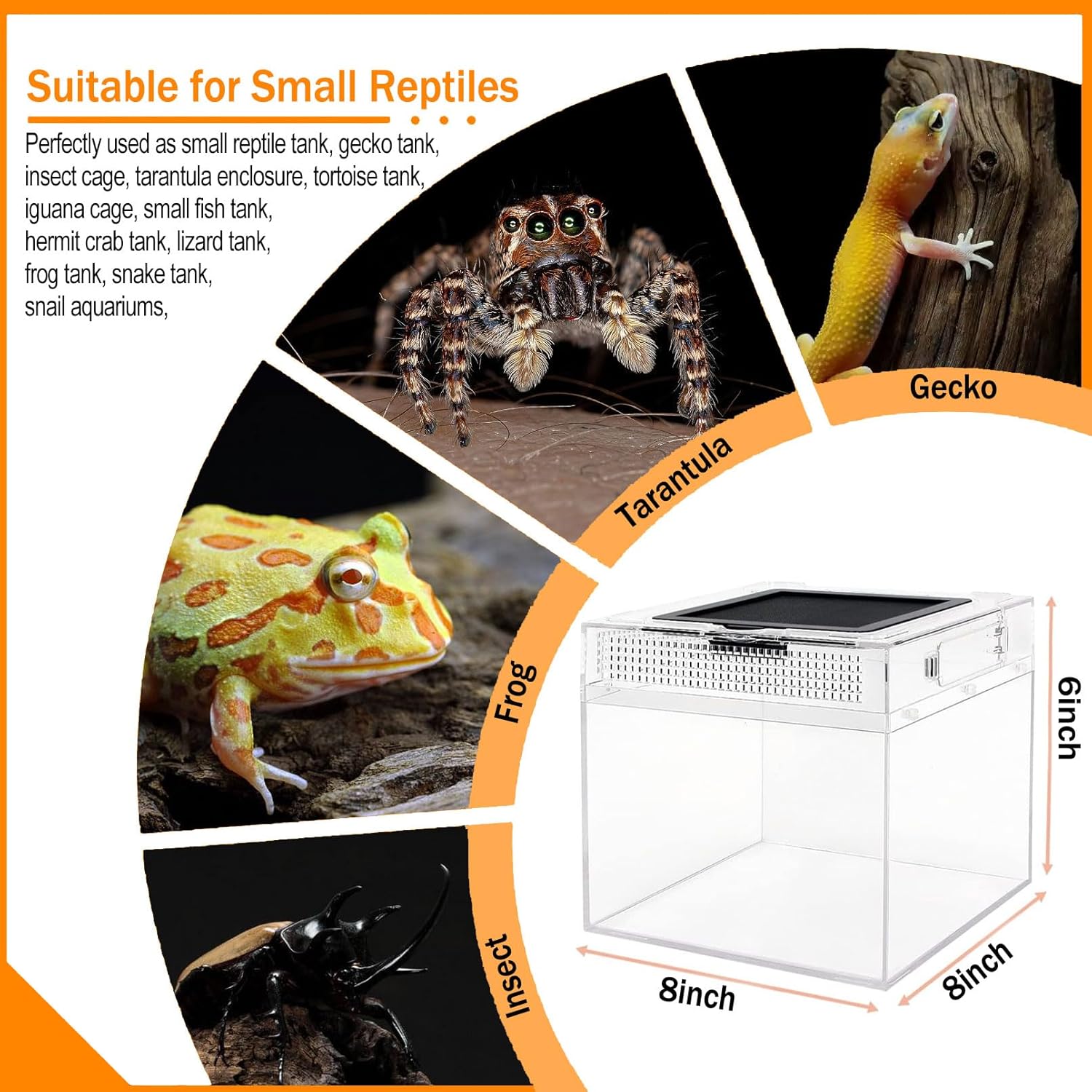 Reptile Terrarium, Jumping Spider Enclosure Starter Kit, Leopard Gecko Habitat Container, 8"x8"x7"Reptile Tank for Tarantula, Hermit Crab, Insect, Fish, Frog, Small Bearded Dragon, Lizard - Happypetzone.online - Image 7