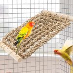 bird ladder perch