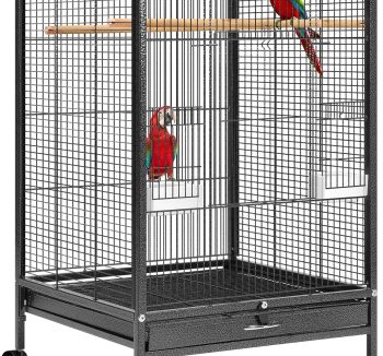 bird cage for small birds