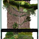 reptile tank amazon best