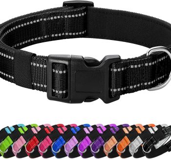 best dog collar