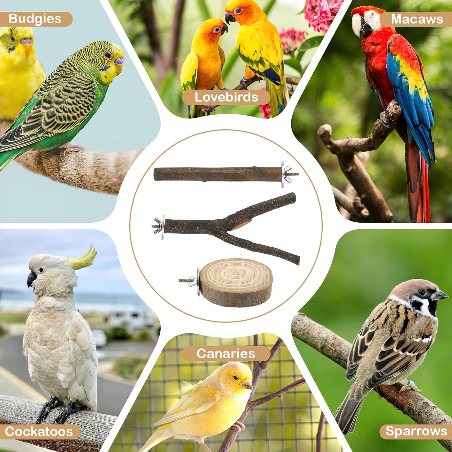 8 PCS Bird Perches for Cage, Natural Wood Parrot Perch Stand, Multi-Branch Platform with Fork Toys, Birds Cage Accessories for Parakeet Cockatiel Budgie Conures Lovebirds - Happypetzone.online - Image 7