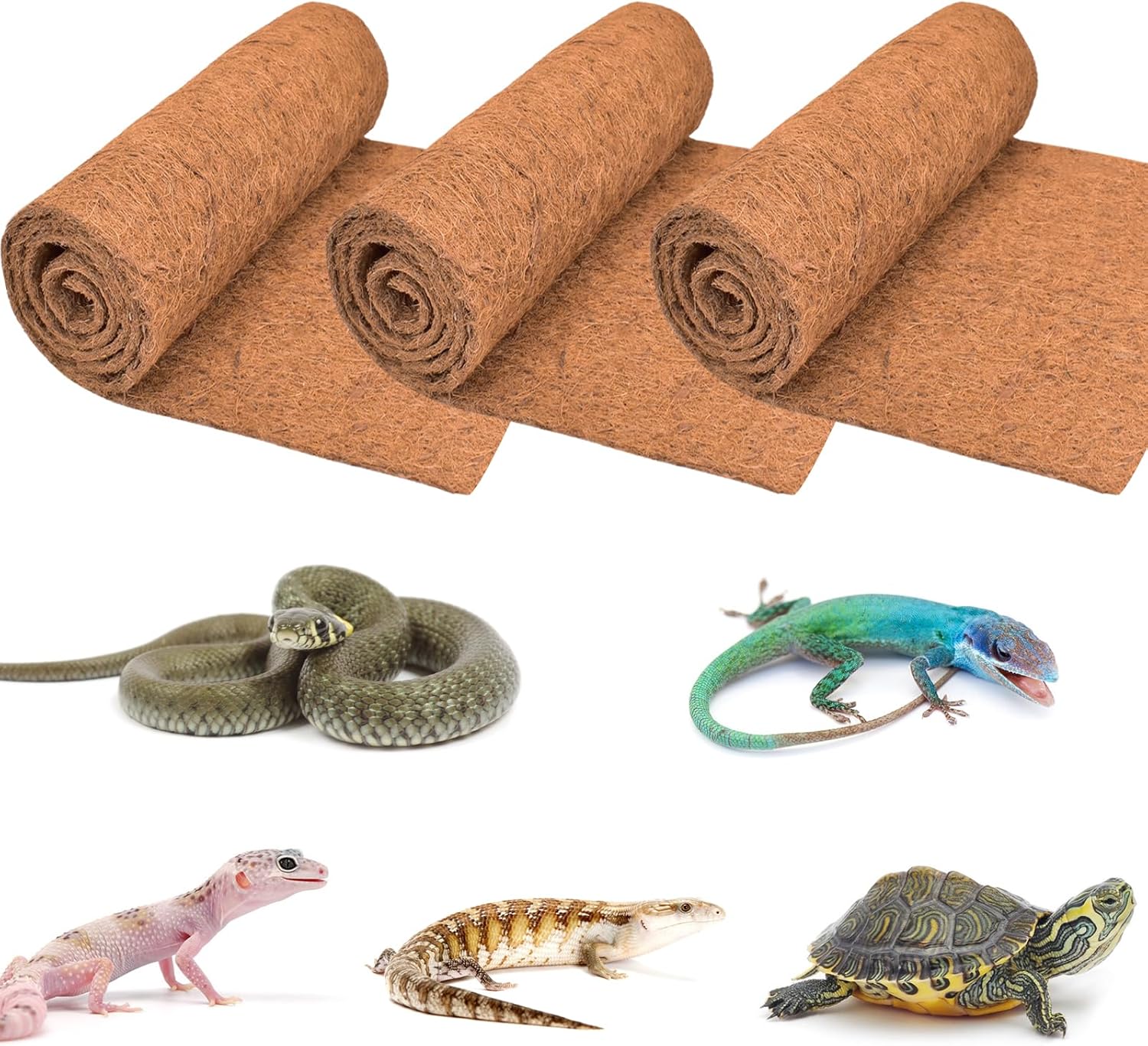 cheap reptile bedding bulk