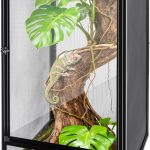 reptile tank terrarium