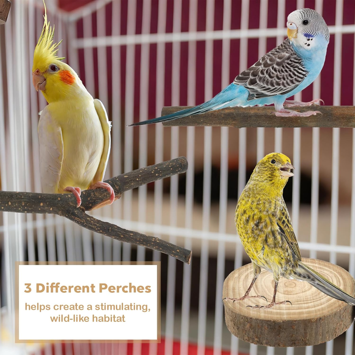 8 PCS Bird Perches for Cage, Natural Wood Parrot Perch Stand, Multi-Branch Platform with Fork Toys, Birds Cage Accessories for Parakeet Cockatiel Budgie Conures Lovebirds - Happypetzone.online - Image 5