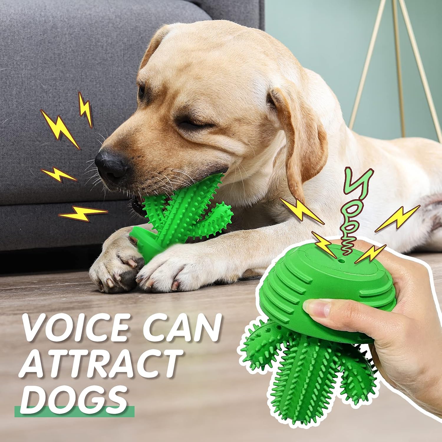 Pamlulu Dog Chew Toys Dog Toothbrush Stick Teeth Cleaning Brush Dental for Medium Large Dog, Puppy Christmas Easter Birthday Gifts, Outdoor Squeaky Toys for Aggressive Chewers Interactive Tough Toys - Happypetzone.online - Image 4