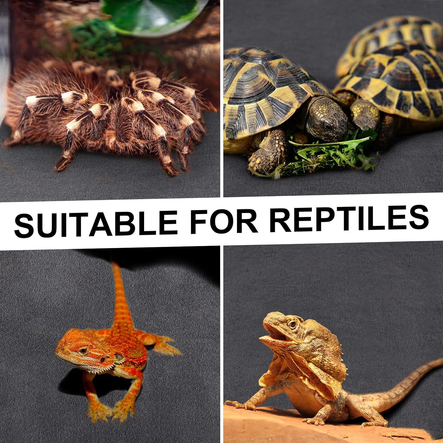 Haull 4 Pcs Reptile Carpet Pet Terrarium Floor Liners Bedding Substrate Liner Supplies Reptile Cage Mat Tank Accessories for Lizard Bearded Dragon Tortoise Snake Leopard (Black,47 x 24 Inch) - Happypetzone.online - Image 6