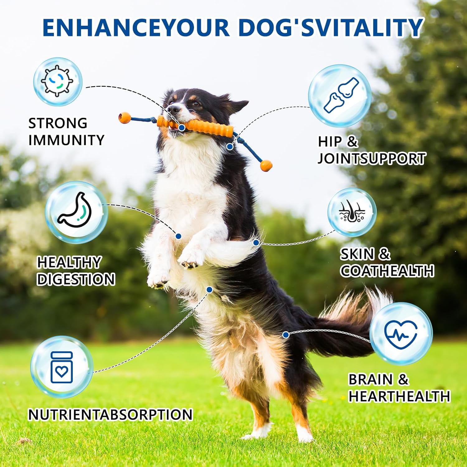 Dog Multivitamin, 40-in-1 Dog Vitamins and Supplements Chewable Contain Probiotics Omega-3 Glucosamine, Multivitamin for Dogs Skin Coat Heart Joint Liver Brain Eyes Immune Support (110ct) - Happypetzone.online - Image 2