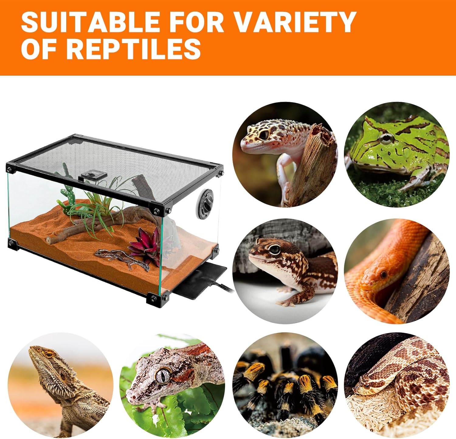 REPTI ZOO 6" X 8" Reptile Heat Pad Fast Heating Pad with Adjustable Thermostat 12W Reptile Heat Mat for Turtles/Hermit Crabs/Bearded Dragons/Leopard Geckos/Snakes/Lizards, and Seed Germination - Happypetzone.online - Image 7