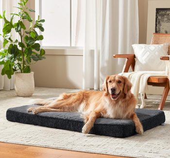 dog bed memory foam