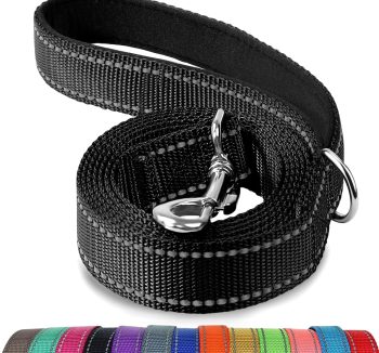 dog leash for large dogs