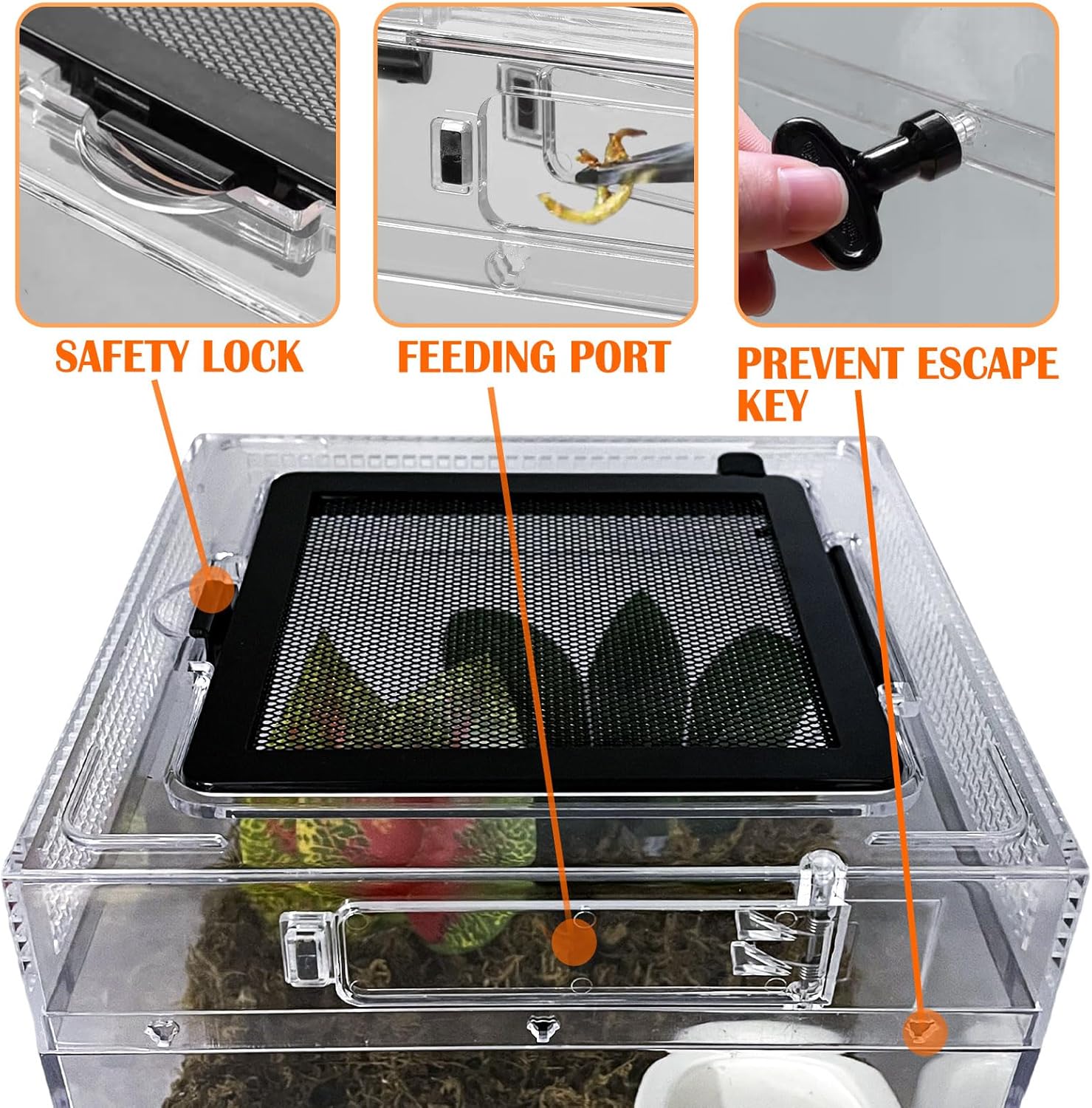 Reptile Terrarium, Jumping Spider Enclosure Starter Kit, Leopard Gecko Habitat Container, 8"x8"x7"Reptile Tank for Tarantula, Hermit Crab, Insect, Fish, Frog, Small Bearded Dragon, Lizard - Happypetzone.online - Image 4
