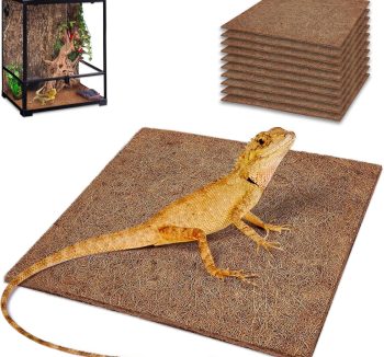 reptile bedding odor control