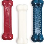 long lasting dog chews