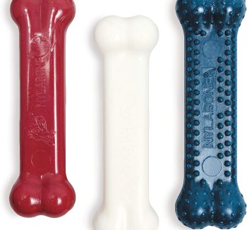 long lasting dog chews
