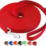 dog leash training