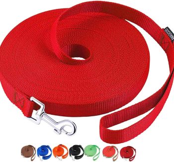 dog leash training