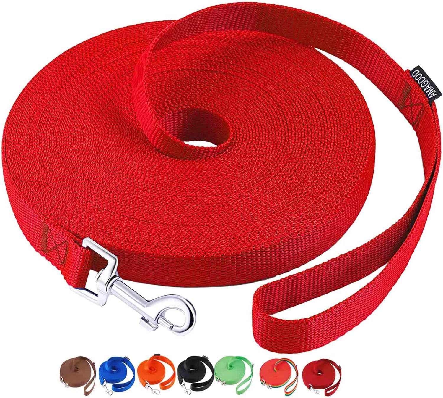 dog leash training