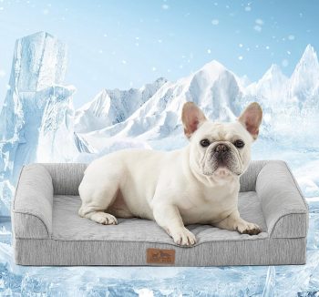 cooling dog bed summer