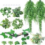 reptile accessories set
