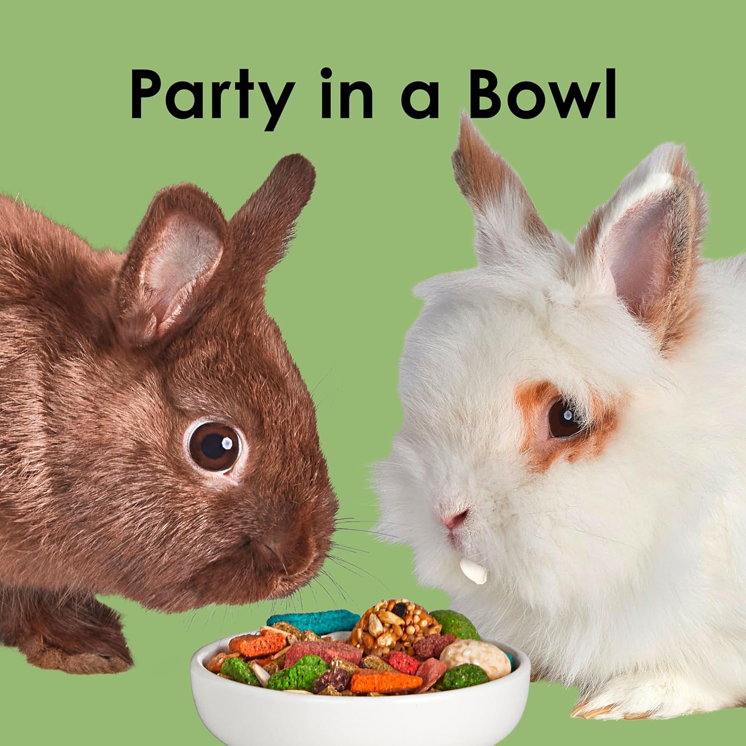 Kaytee Fiesta Rabbit Food, Nutritious and Fun Blend, Supports Dental Health and Digestion, 3.5 pounds - Happypetzone.online - Image 10