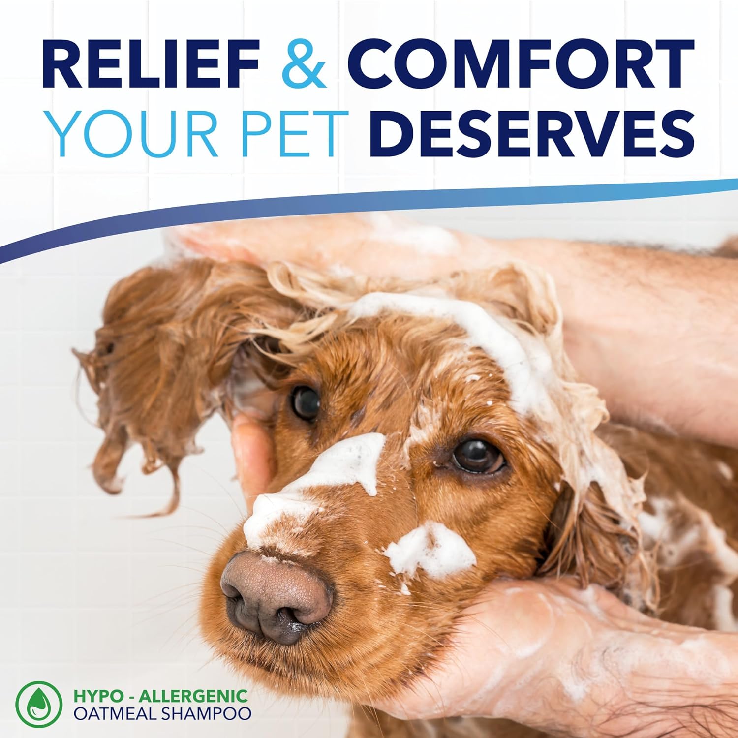 TropiClean OxyMed Hypoallergenic Dog Shampoo for Allergies and Itching, Skin Soothing Shampoo for Pets with Sensitive Skin, Tearless, Cat Safe, 20oz. - Happypetzone.online - Image 7