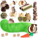 guinea pig toys fun