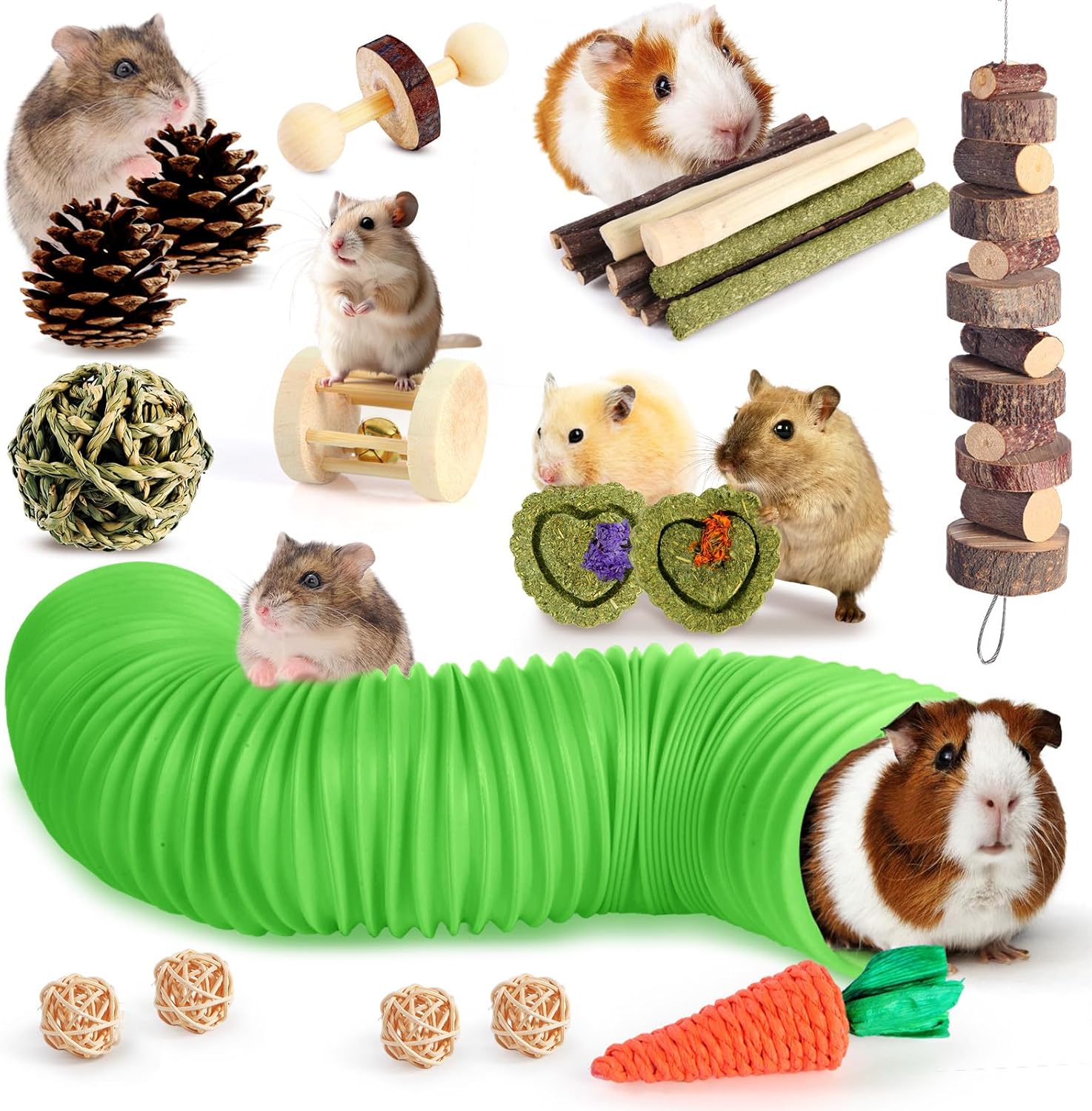 guinea pig toys fun