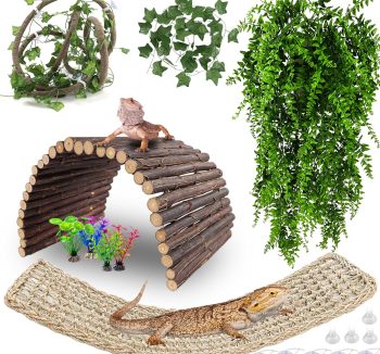 cheap reptile accessories