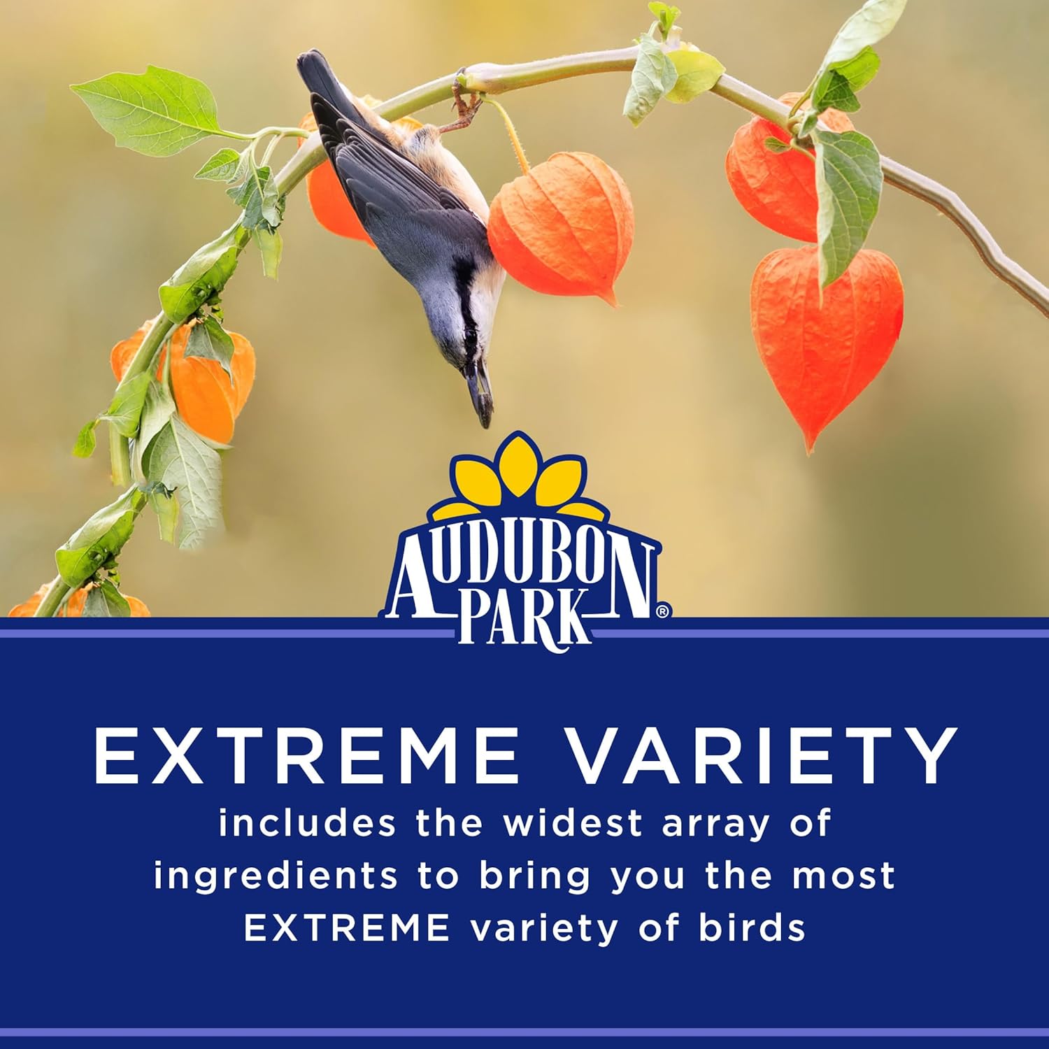 Audubon Park Extreme Variety Wild Bird Seed for Outside Feeders, 15-lb. Bag - Happypetzone.online - Image 4