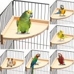 bird perch platform