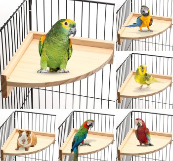 bird perch platform