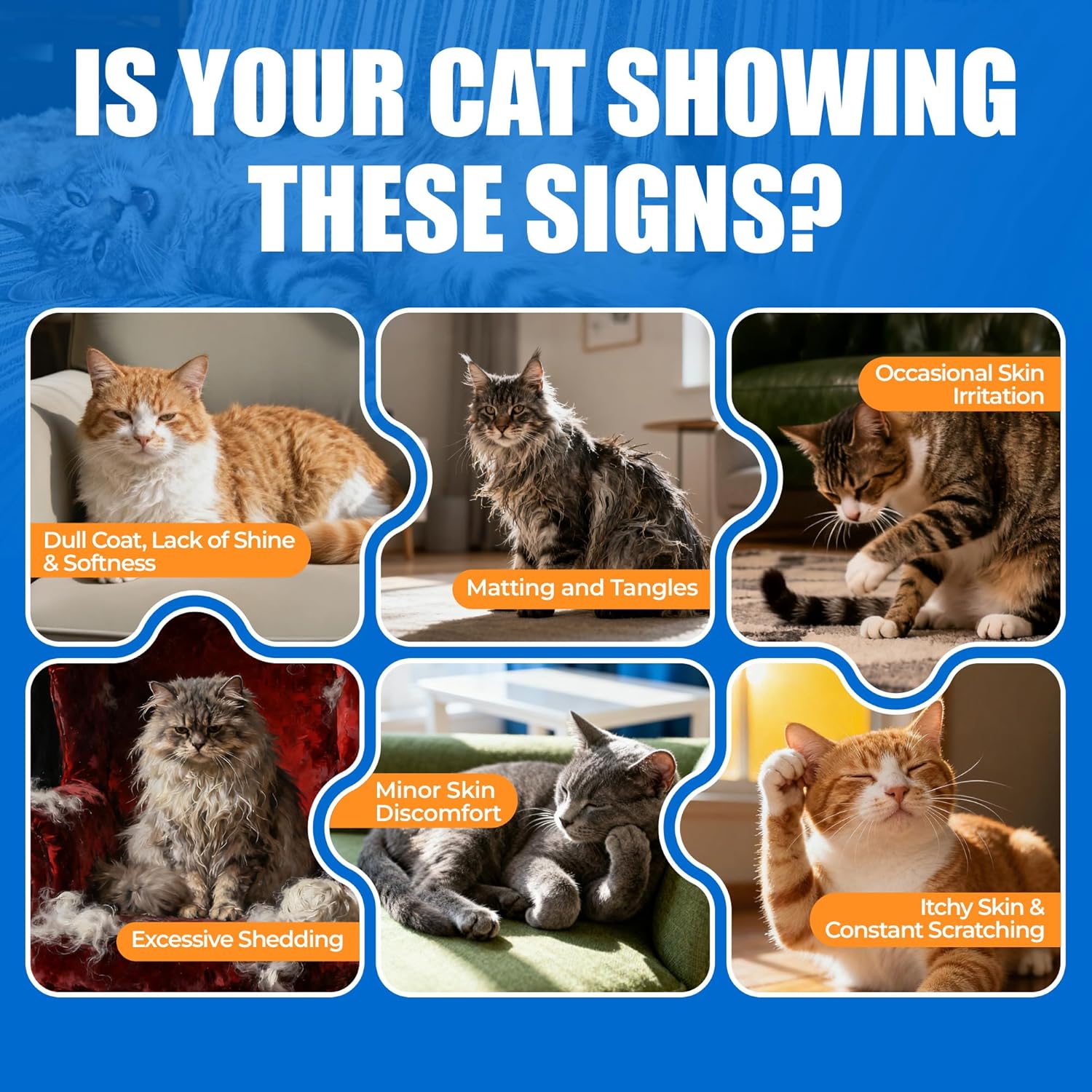 Just Try 300 Bites Skin and Coat Healthy Cat Vitamins for Indoor Cats Omega 3 for Cats Salmon Oil Supplements- Cat Itchy Skin Relief - Happypetzone.online - Image 9