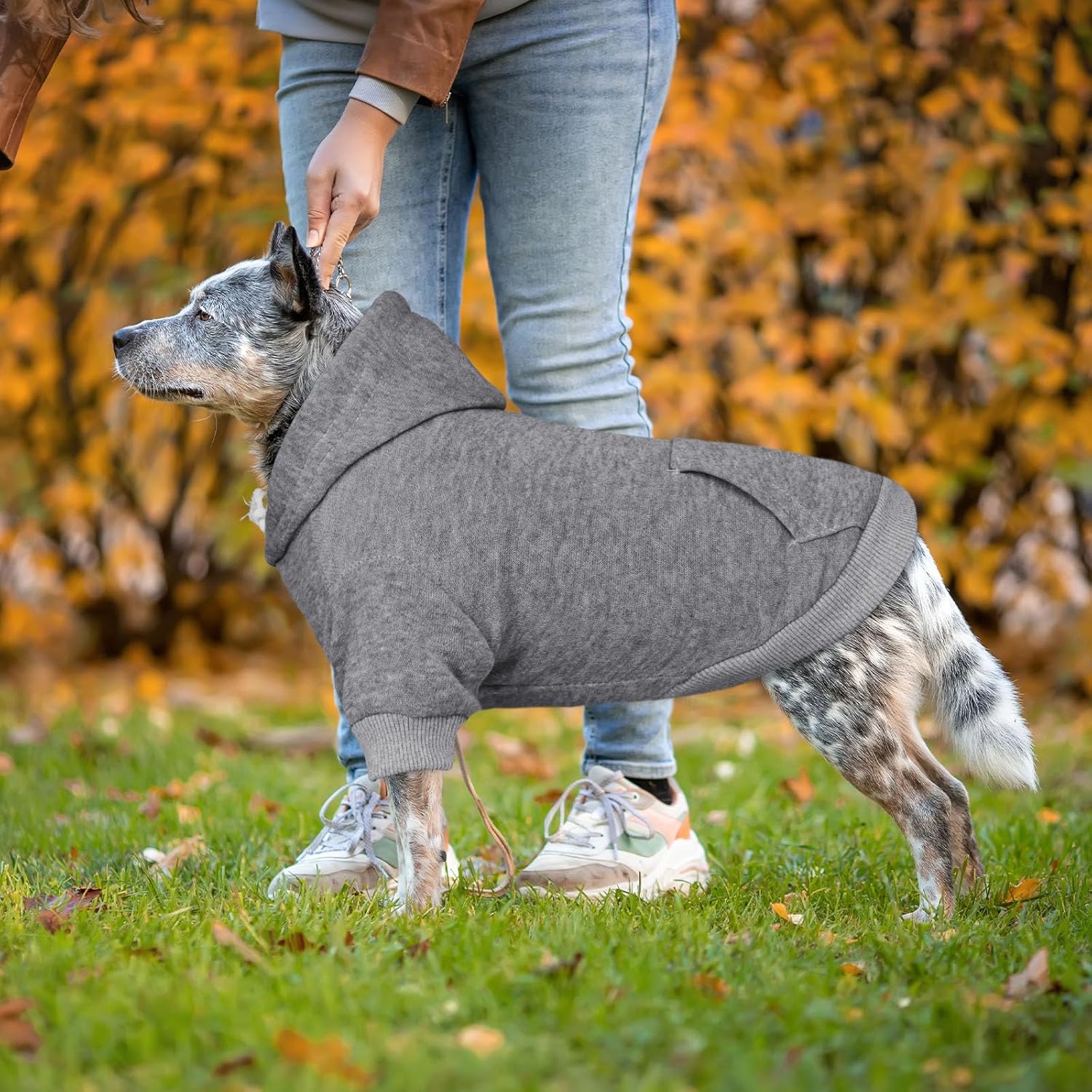 Dog Hoodie Dog Sweaters for Large Dogs Sweater Solid Soft Brushed Fleece Pet Clothes Pet Hoodie Sweatshirt with Pocket(Grey-XXL) - Happypetzone.online - Image 6