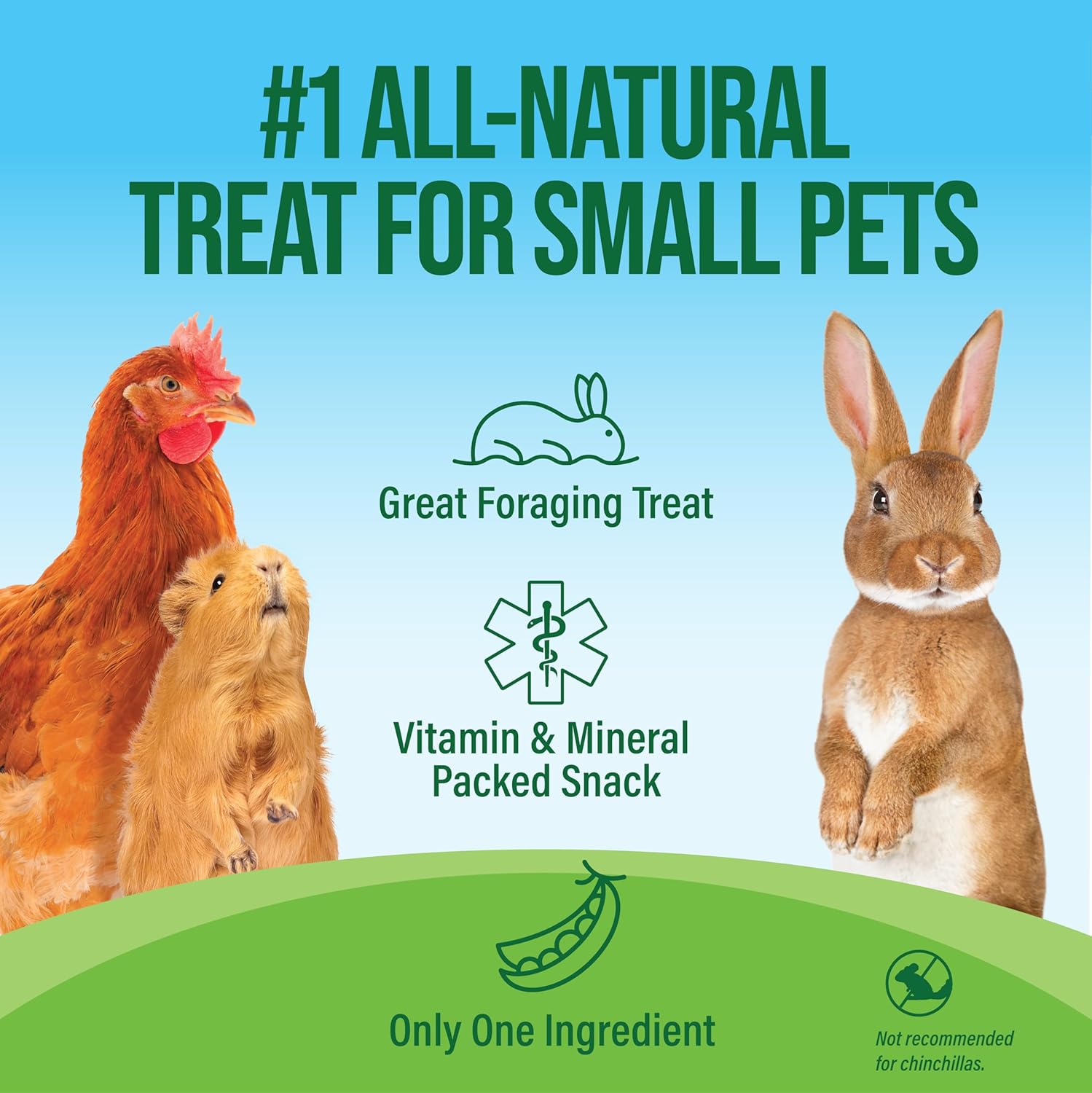 Small Pet Select - Pea Flakes, Treats for Rabbit Bunny, Guinea Pig, Chickens, Bunny, Hamster, and Other Small Pets, 1 lb - Happypetzone.online - Image 2