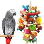 bird food amazon best