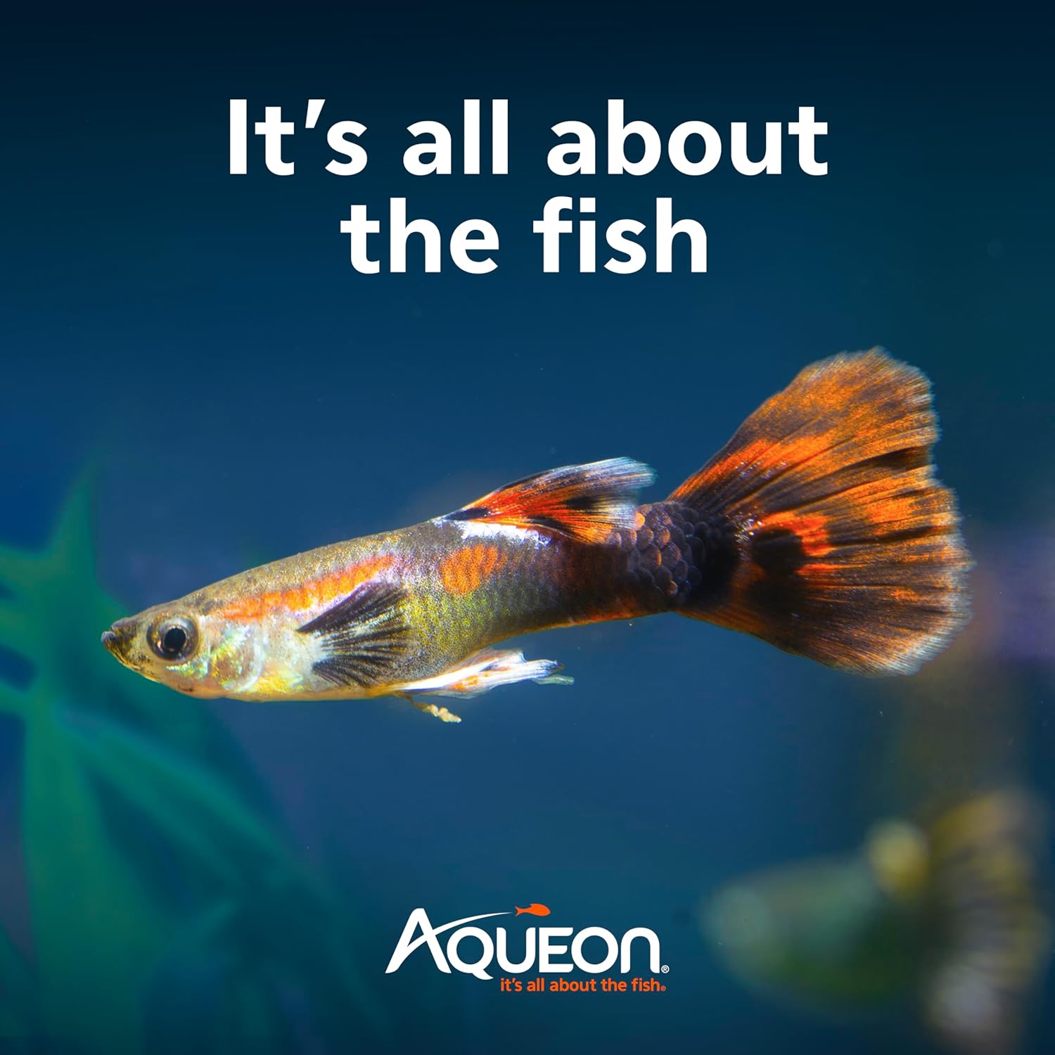 Aqueon SmartClean Power Filter with EcoRenew Filter Cartridge, Quick and Easy Water Changes, Quiet Operation, Adjustable Flow, for 50-90 Gallon Freshwater and Saltwater Aquariums, Large - Happypetzone.online - Image 10