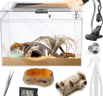 reptile habitat setup kit