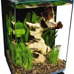 fish tank modern design