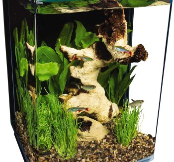 fish tank modern design