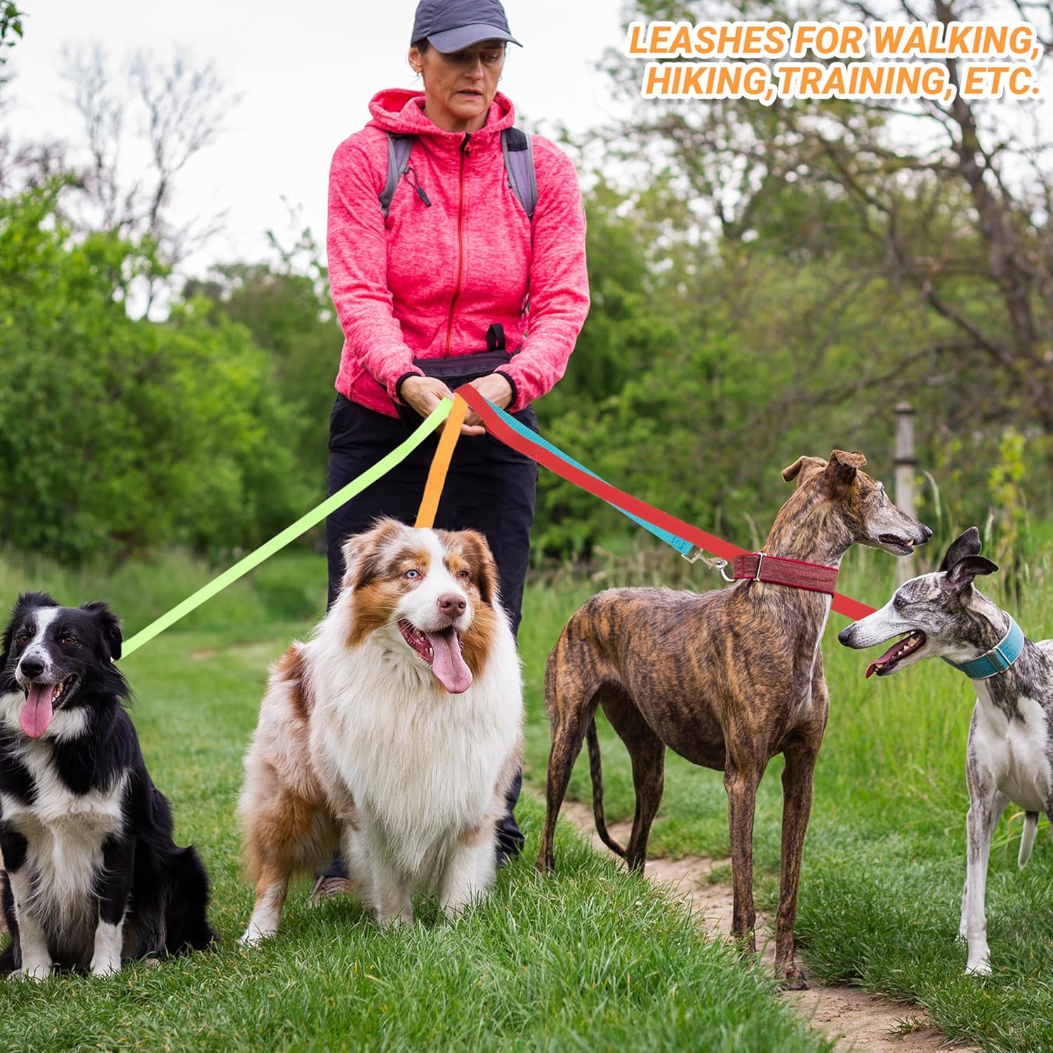 12 Pcs Dog Leashes for Small Medium Large Dogs, 6FT Lead Short Dog Leash with Swivel Hook for Walking, Training, Hiking, Rescues, Grooming, Shelter, Outdoor - Happypetzone.online - Image 4