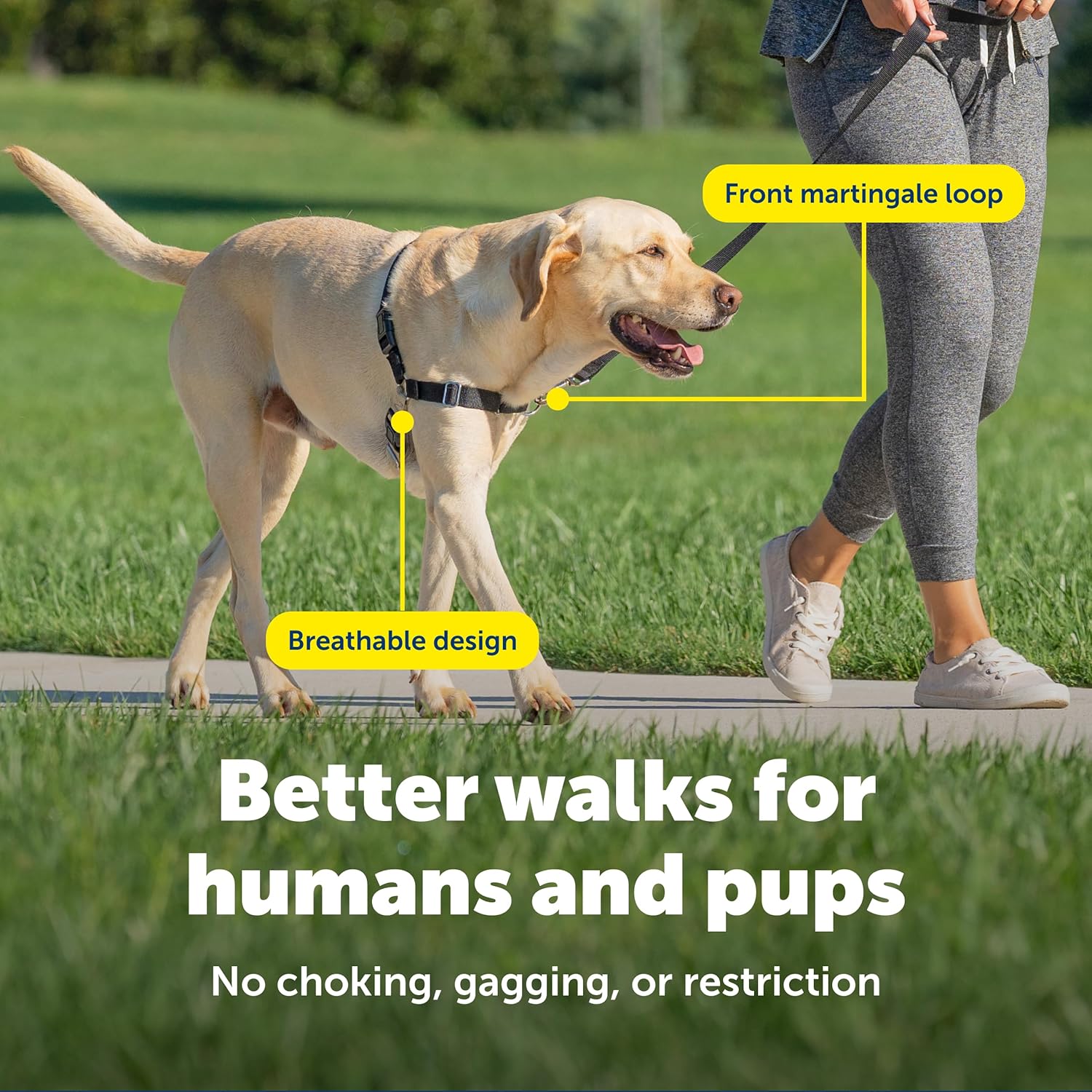 PetSafe Easy Walk Harness for Dogs - Pull-Free Walks - Patented Martingale Loop Design - Front Chest Leash Attachment - Comfort Straps - Breathable Harness Design - Medium, Black/Silver - Happypetzone.online - Image 4