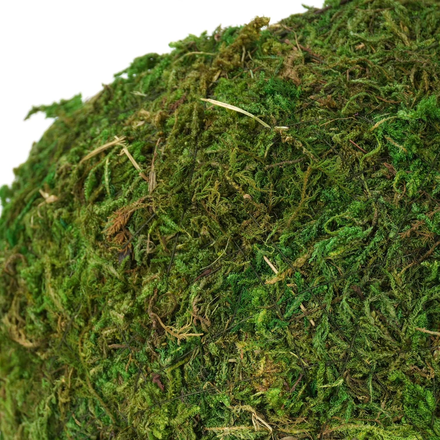 USMOLA Mossy Caves, Artificial Green Moss Caves Hide for Pet Reptile Frogs and Snakes, Terrarium & Vivarium Decor, Crested Gecko Tank Decor (4" - Woodland Green) - Happypetzone.online - Image 5