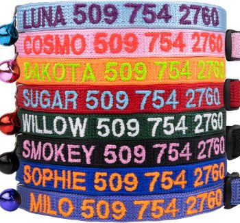 cat collar with bell