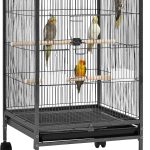 bird cage large