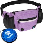 dog walking accessories