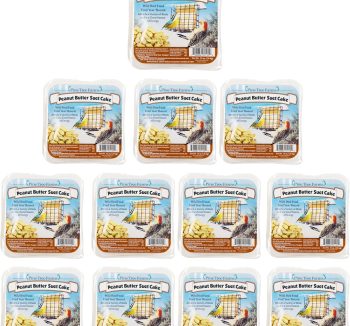 high protein bird food