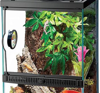 reptile habitat kit